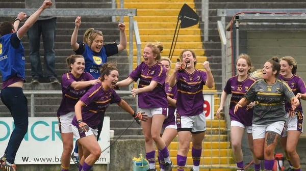 Wexford rejoice at the final whistle
