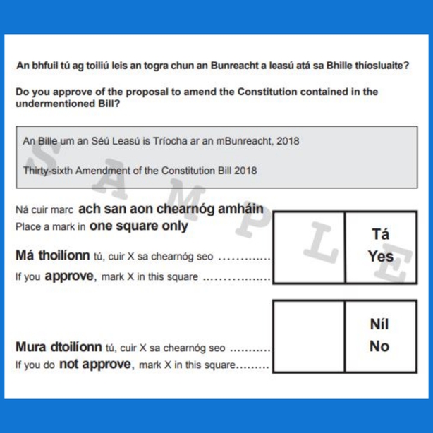 Referendum: The ballot paper explained