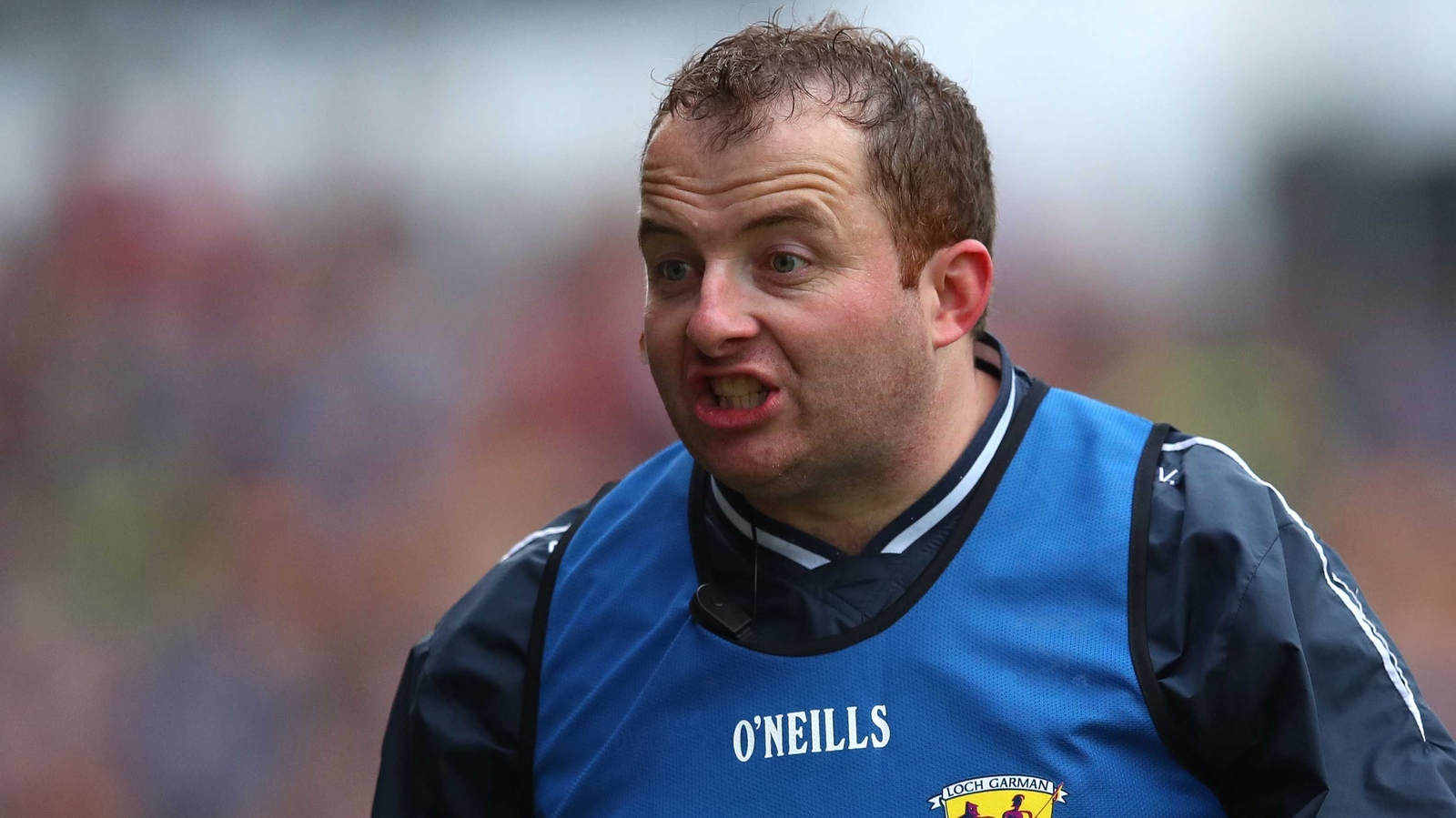 Bulfin and Wexford focused on the future