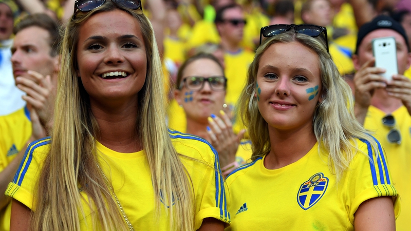 Image result for swedish soccer fans