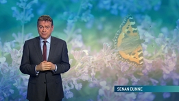 Weather with Signing