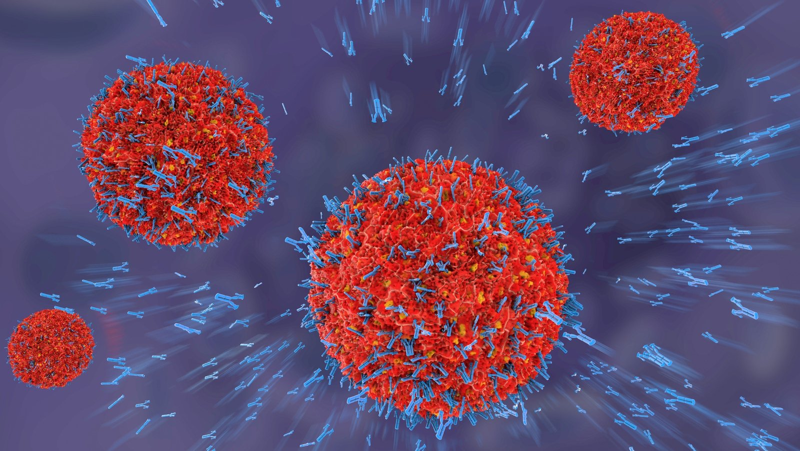 Natural killers: the immune cells taking on cancer