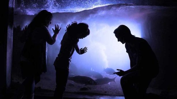World Ocean Day