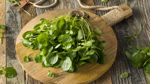 Warm Cress Salad with Duck