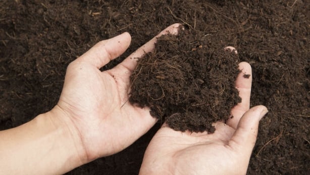 Find out what type of soil you have