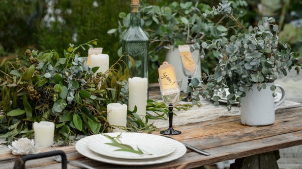 garden furniture