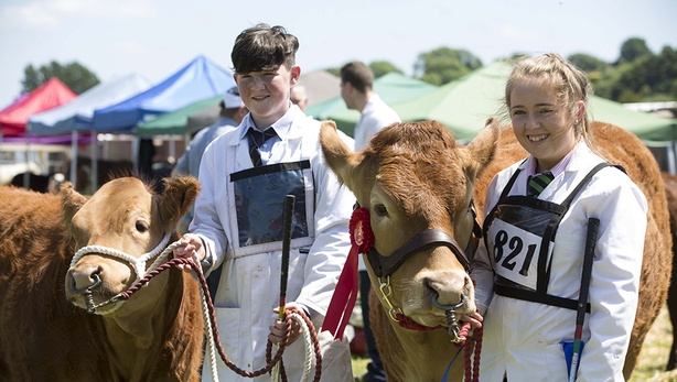 Cork Summer Show