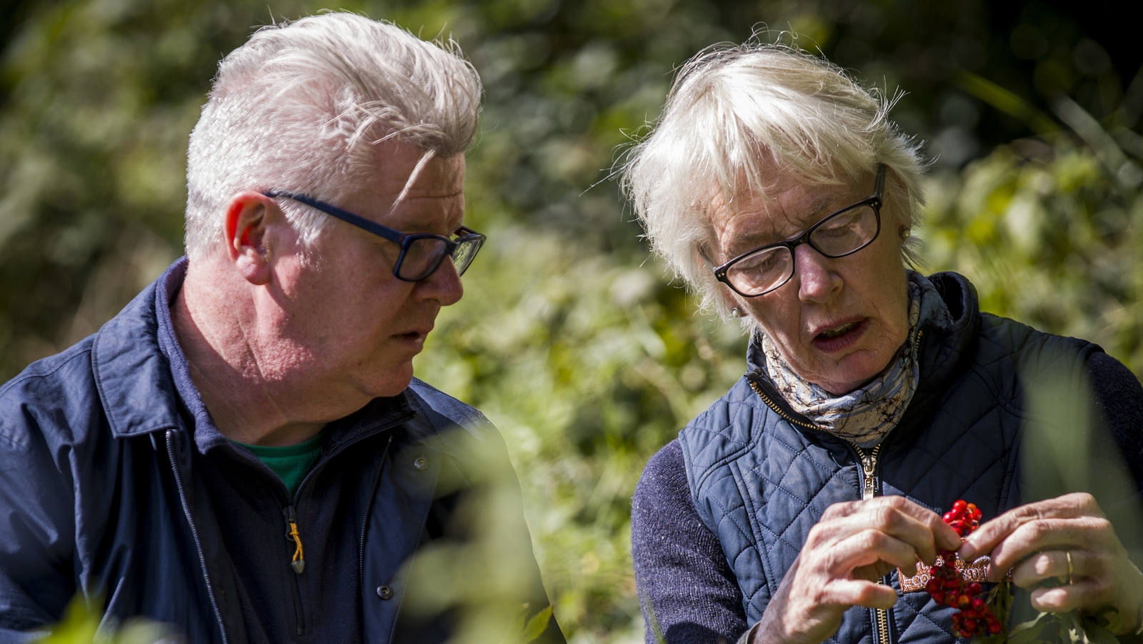 Ever wondered what the Kings of Leinster had for dinner?
