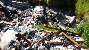 RTÉ Investigates: Ireland's Wild Waste