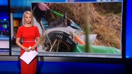 RTÉ News: Six One
