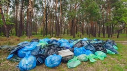 RTÉ Investigates: Ireland's Wild Waste