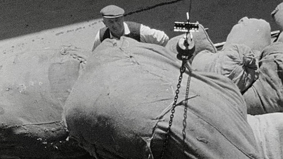 Exporting Irish Wool (1963)