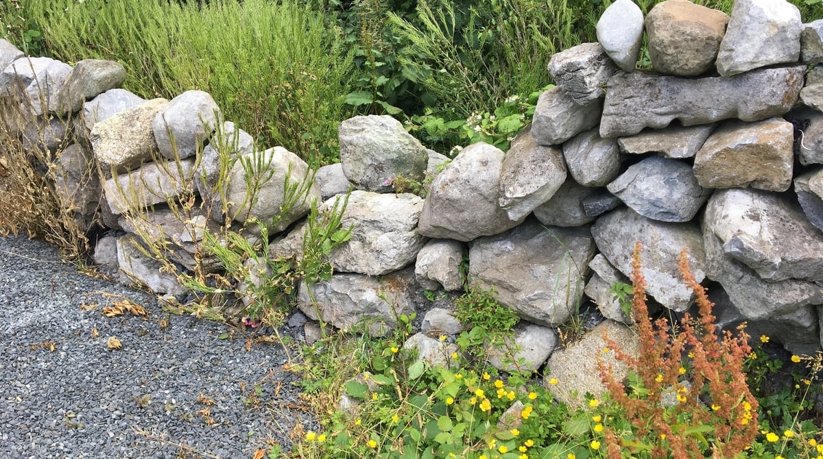 Art Ó Súilleabháin Aistí ón Aer RTÉ Raidió na Gaeltachta