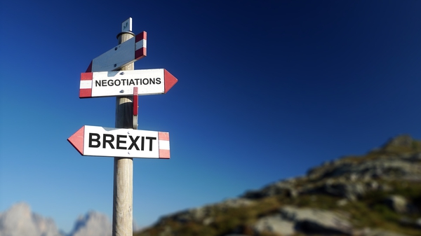 Which direction will Brexit take?