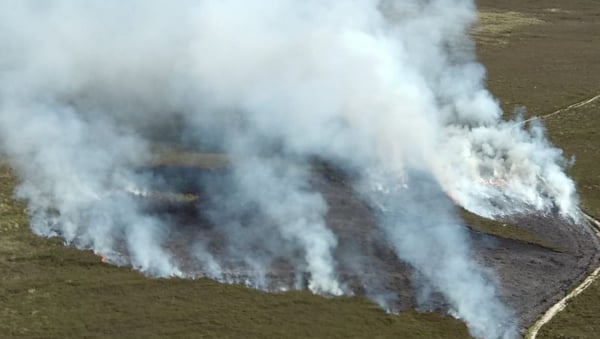 Dublin Fire Brigade says three days of rain are needed to reduce the threat of forest fires
