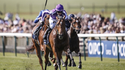 O'Brien expects Saxon Warrior to find the more straightforward Curragh track playing to the horse's strengths