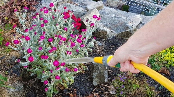Irish Water is appealing to people to continue to conserve water