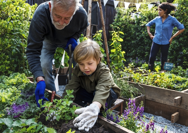 gardening