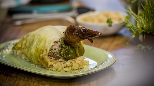 cabbage