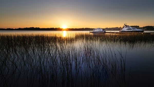 Experience the magic of the Shannon River by boat