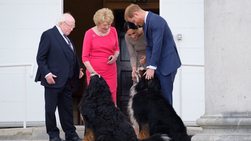 Prince Harry and Meghan Markle pose for photos with President Higgins, Sabina and their two dogs