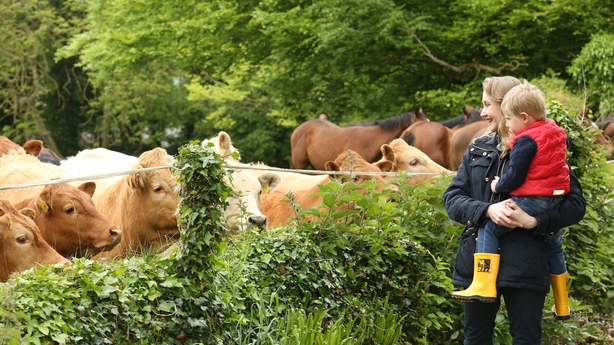 Farm Safety