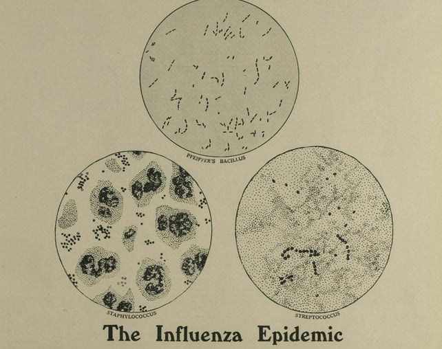 Century Ireland Edition 131 Influenza