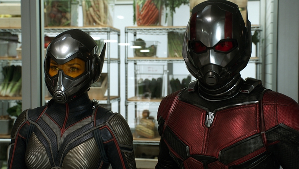 Evangeline Lily and Paul Rudd as The Wasp and Ant-Man