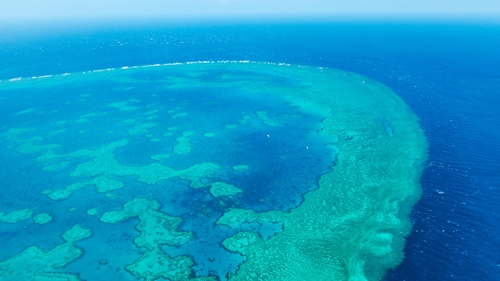 Experts say the reef could have suffered irreparable damage