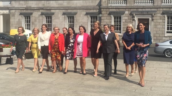 The Irish Women's Parliamentary Caucus meets every two months