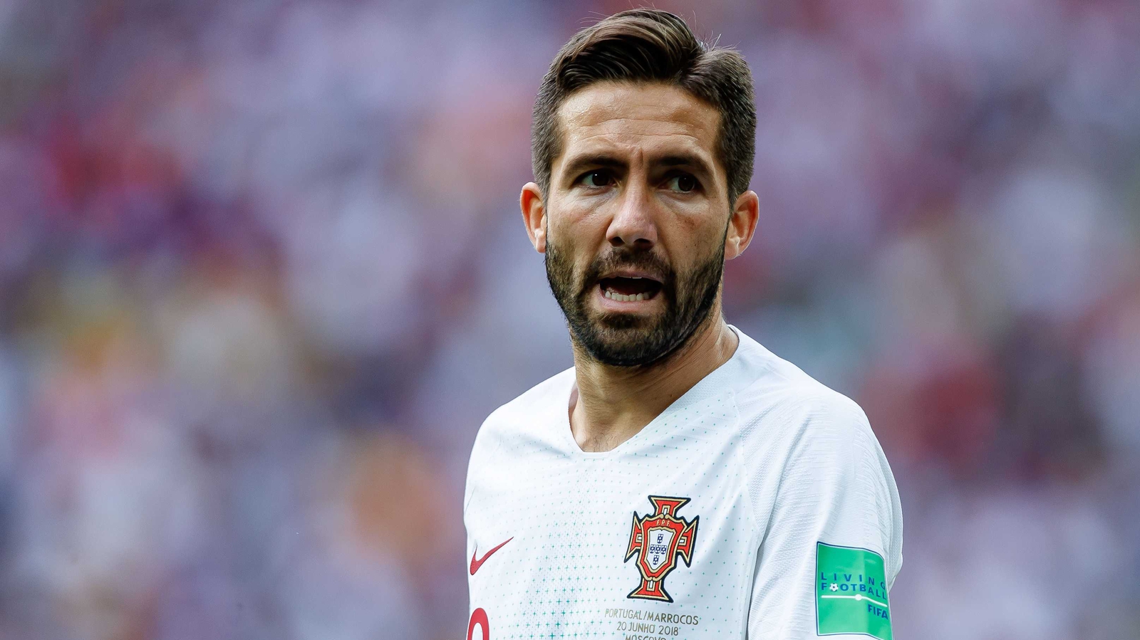 Wolves to keep strengthening with Joao Moutinho capture