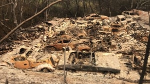 Over 95,000 acres of drought-parched vegetation have been destroyed in the fires