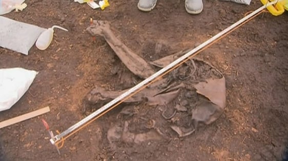 Mummified body found in Cúl na Móna bog, County Laois (2013)