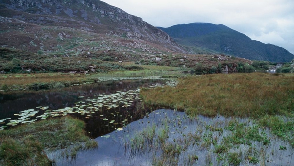 Kerry County Council said it will consider the recommendations made for the Gap of Dunloe