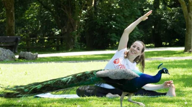 yoga