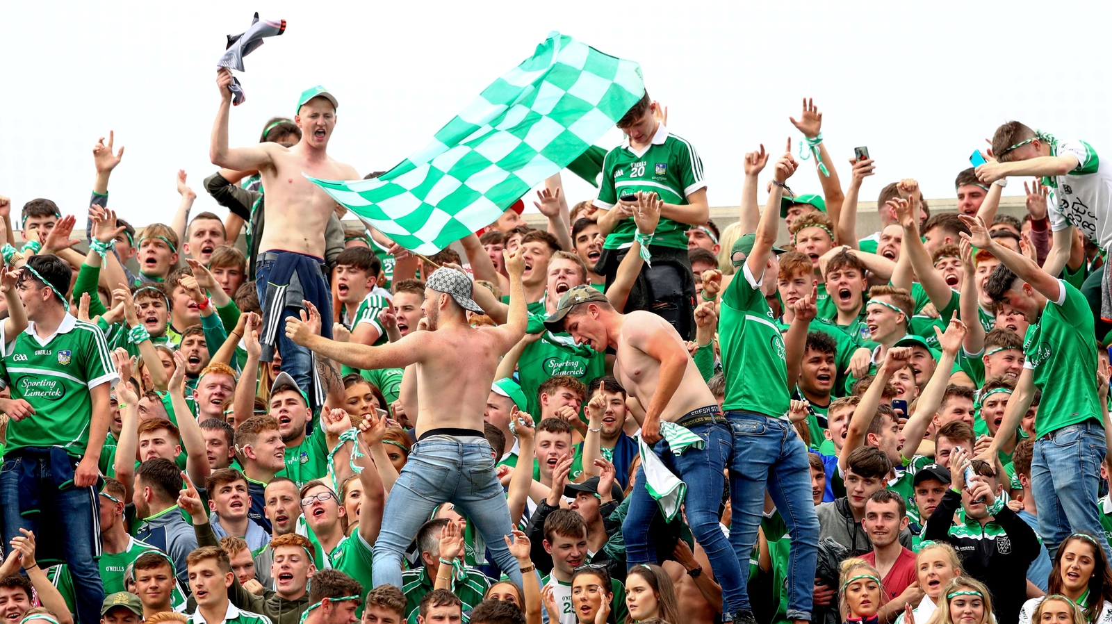 Image - Limerick's supporters have made themselves seen and heard all year