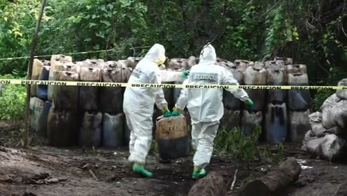 The drugs were incinerated on site due to the difficult access to the remote location