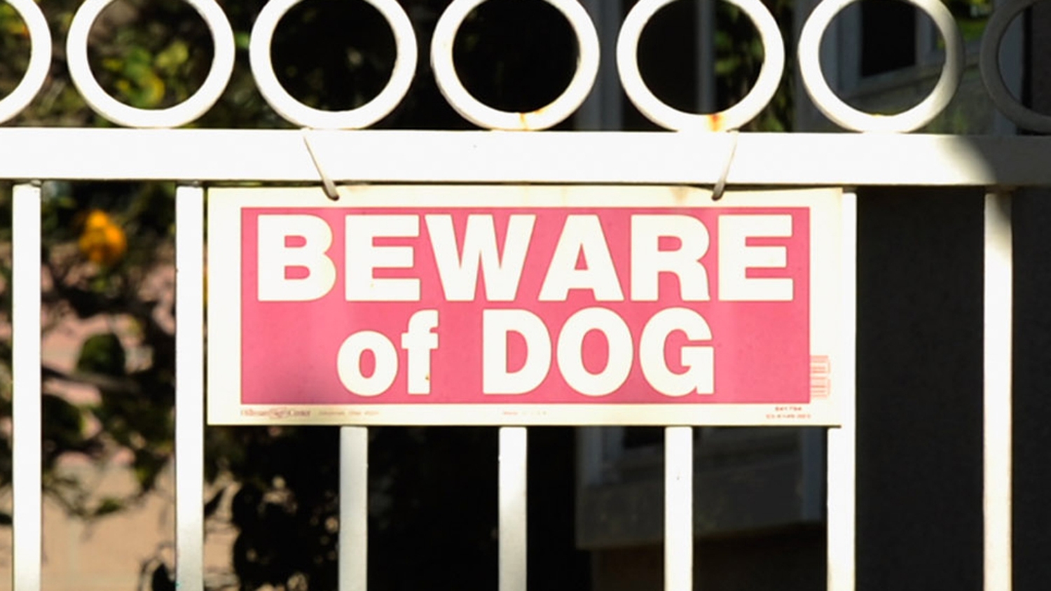 RTÉ Archives Society New Legislation For Guard Dogs