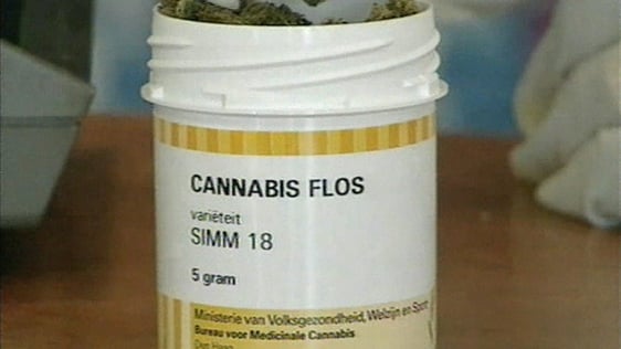 Cannabis Flos