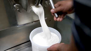 Vanilla ice cream is traditionally made from fresh milk, cream, egg yolks, sugar and vanilla