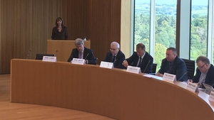 Joan Freeman was the first to address Wexford Council Joan Freeman was the first to address Wexford Council