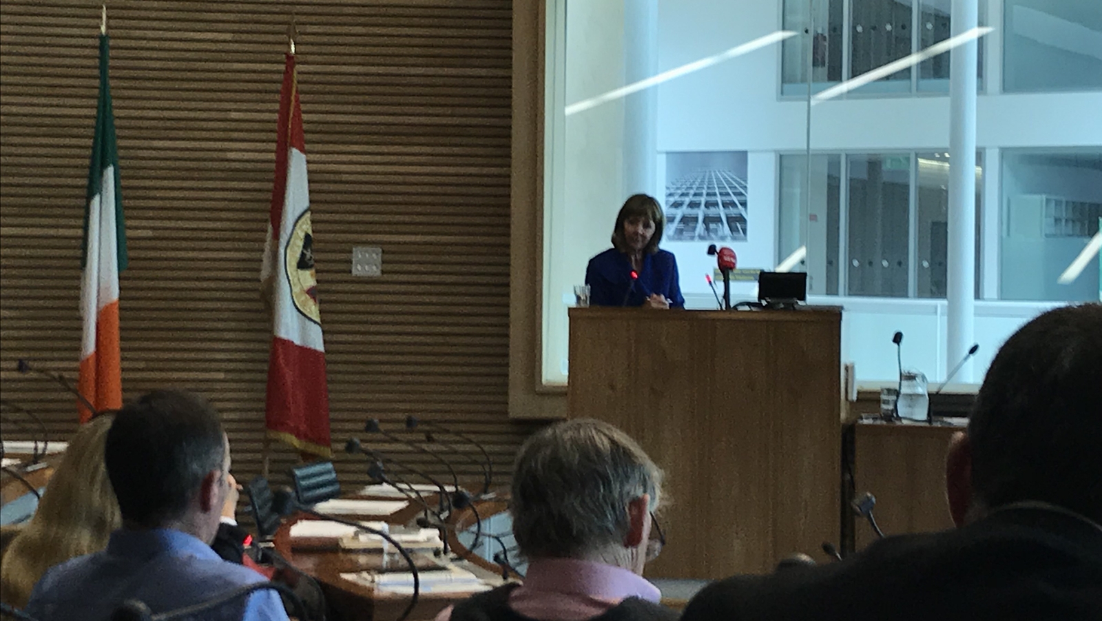 Freeman and Gallagher address Cork County Council