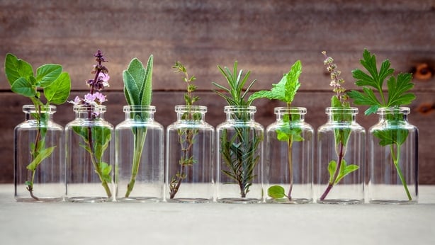 Bottle of essential oil with herbs