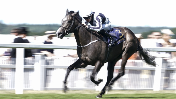Alpha Centauri on her way to winning at Royal Ascot