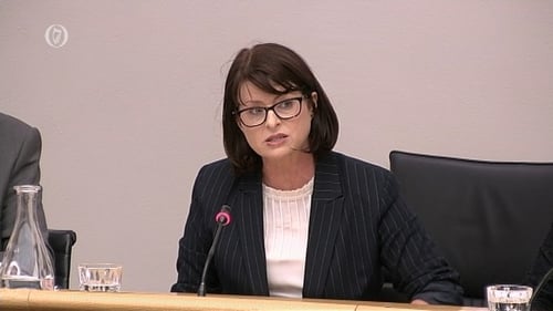 Emily Logan said the Irish Human Rights and Equality Commission did not support the Government's approach