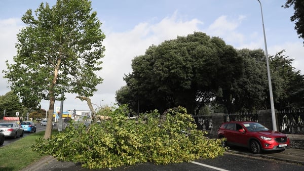 The high winds caused numerous trees to fall around the country