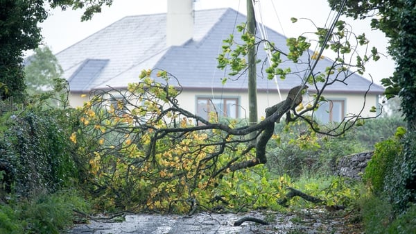 The strong winds of Storm Ali brought down numerous trees, which took out power lines