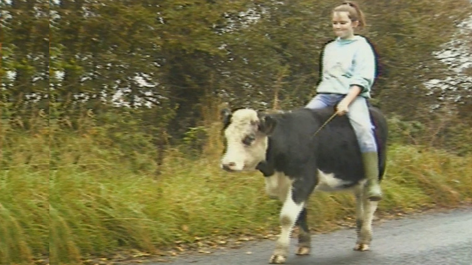 RTÉ Archives | Environment | Cloghan Cow Ride