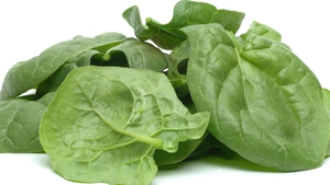 Listeria monocytogenes were detected in batch of spinach leaves