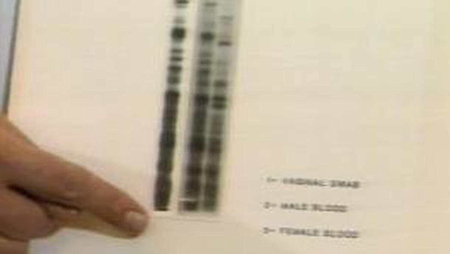 rt-archives-collections-dna-fingerprinting